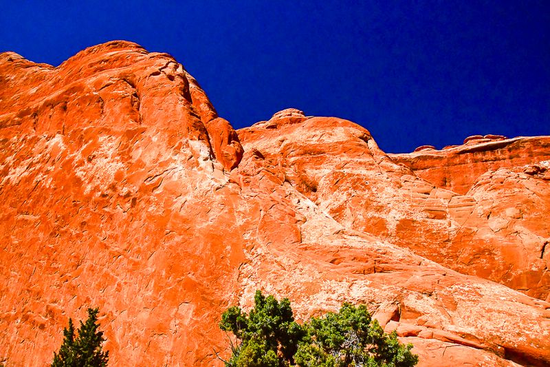 Utah19-2-1122