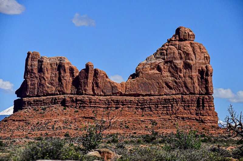 Utah19-2-1160