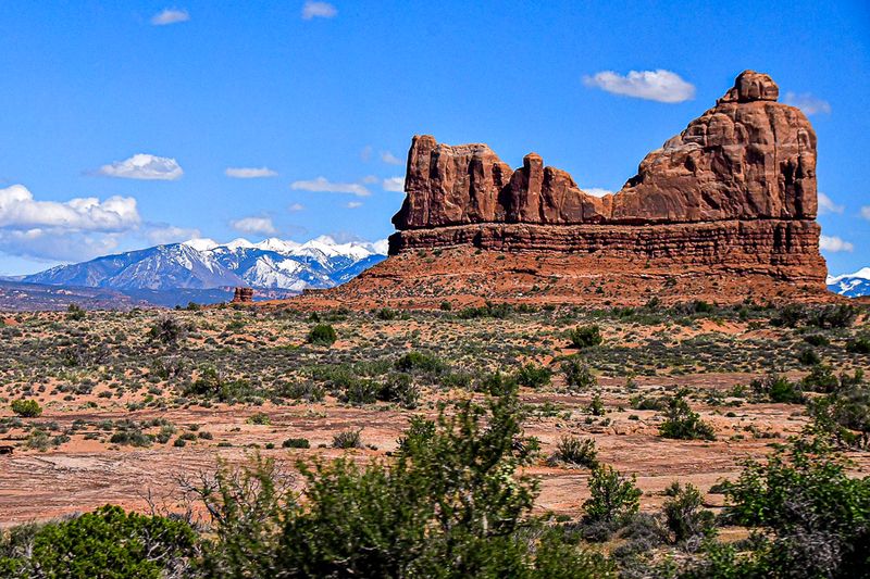 Utah19-2-1161