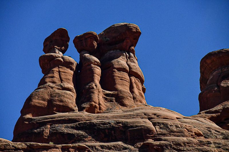 Utah19-2-1151