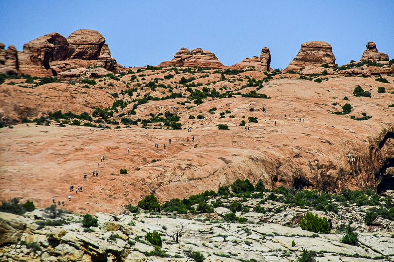 Utah19-2-1129