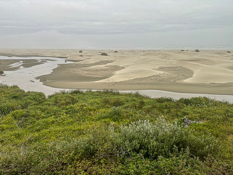 2024 07 28 Newport, Oregon i9241