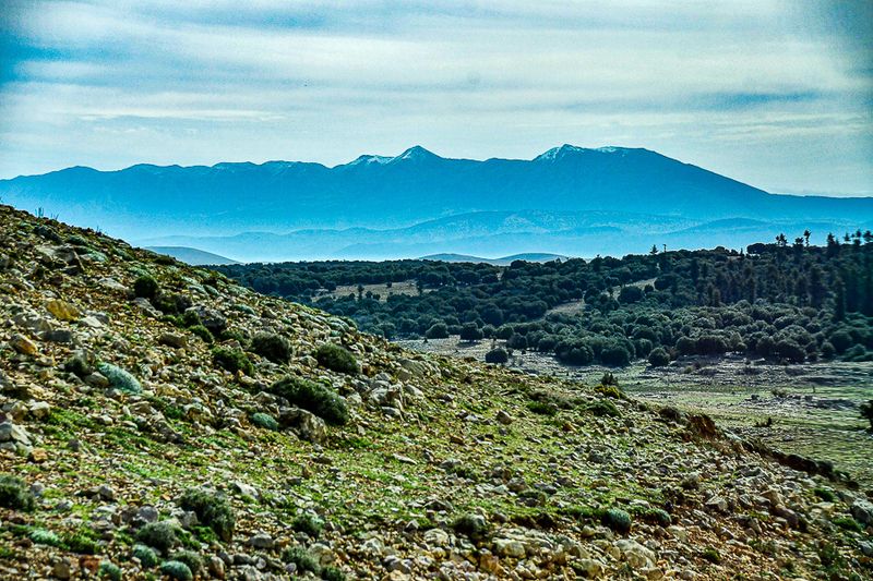 04 02 Middle Atlas mountains landscape Moroc-3697