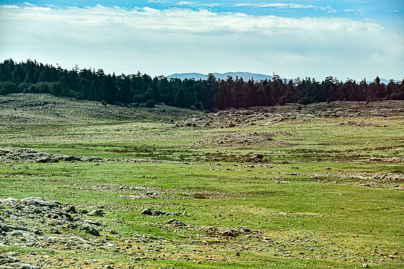 04 02 Middle Atlas mountains landscape Moroc-3699