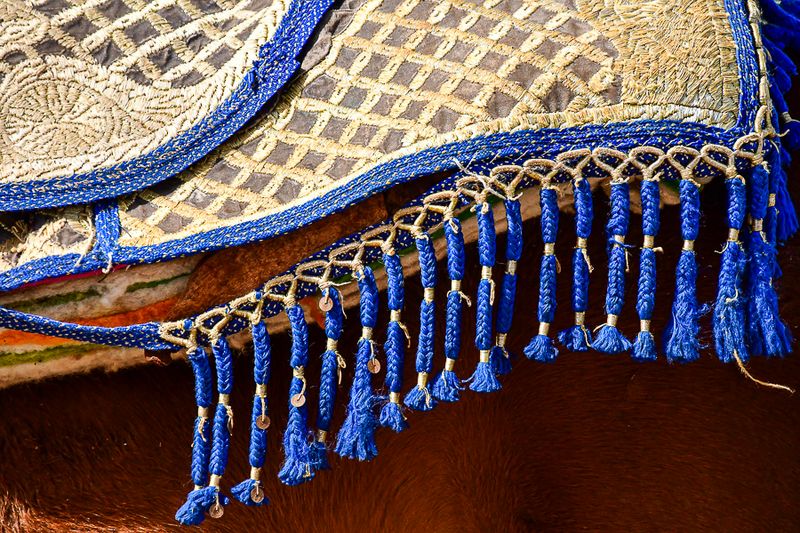 04 02 Saddle pad on a 'tourist ride' horse High plains of the Atlas Mountains Moroc-37143743