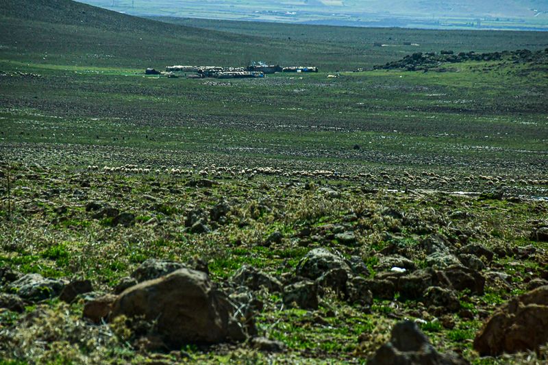 04 02 Sheep grazing and herders' encampment on theHigh plains of the Atlas Mountains Moroc-3785