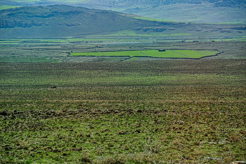 04 02 Green island in the rocky ground of the high plains Moroc-3817