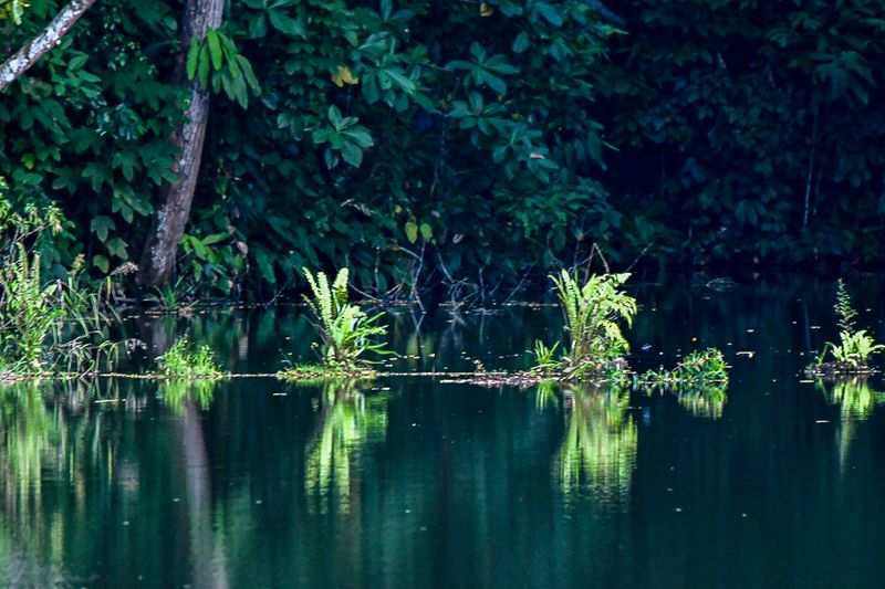 08 25 Evening pond 4199
