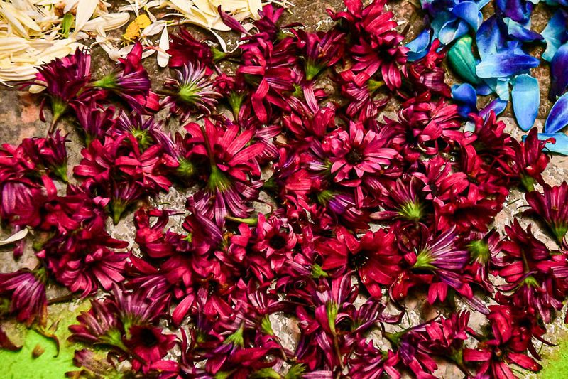 09 04 Hotel flowers India-2-2328