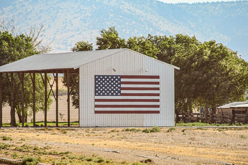 07 18 A lot of flags 7747