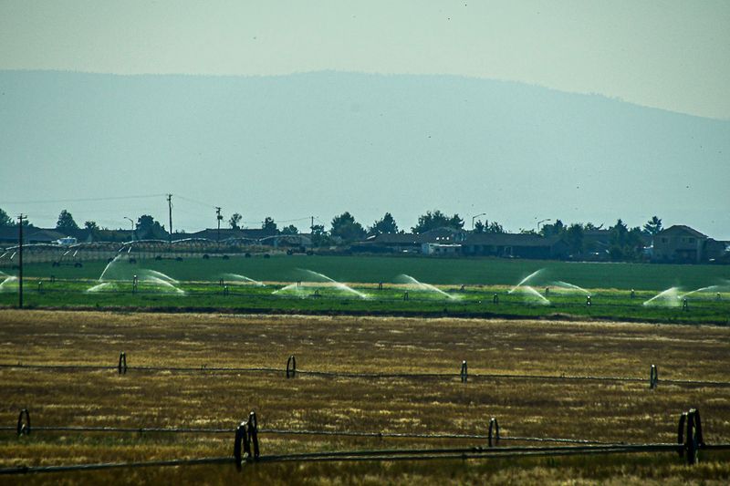 07 18 Irrigating alfalfa 7748