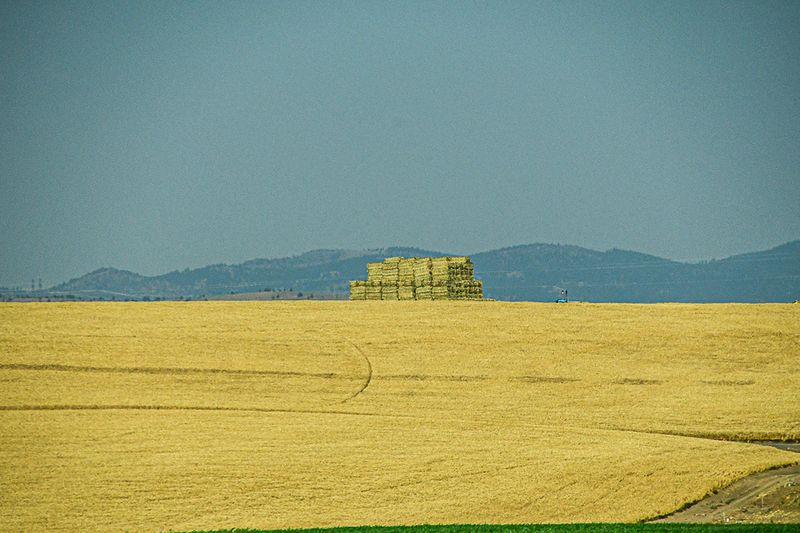07 18 Stacked big bales 7749