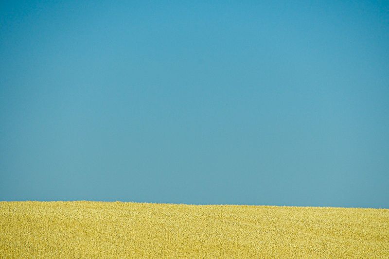 07 18 Sky and grain 7754