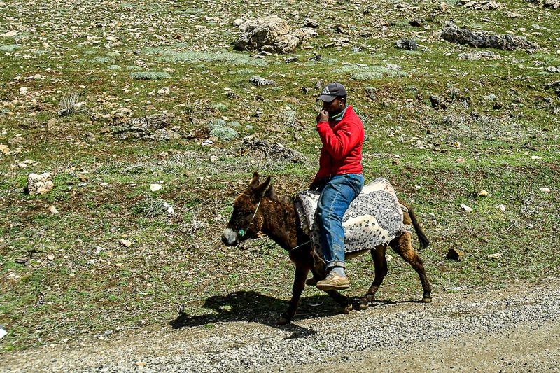 04 02 Riding on a donkey Moroc-3923