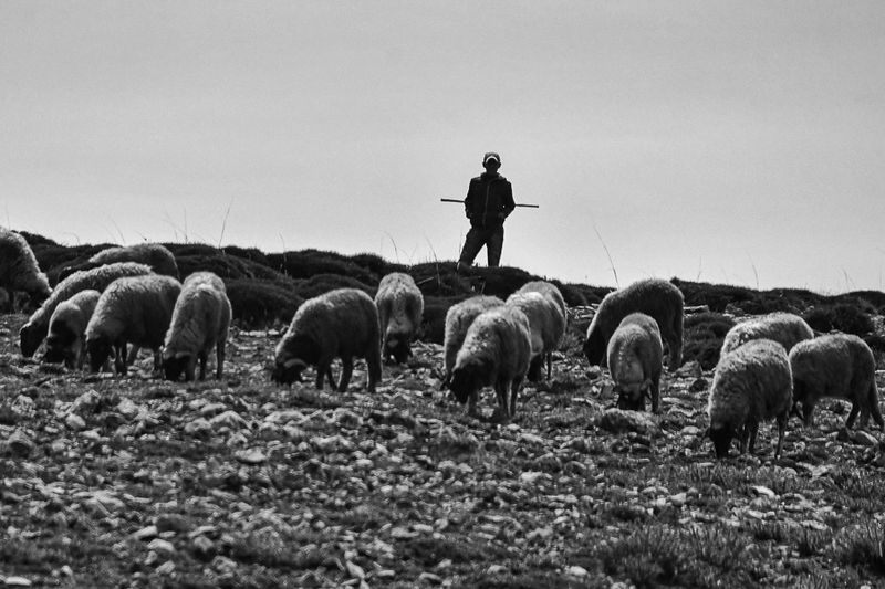 04 02 Young herder Moroc-3952-2