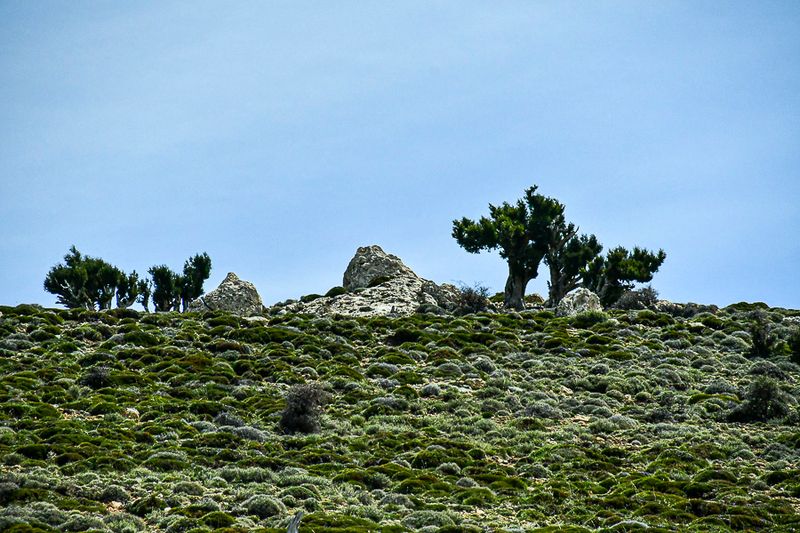 04 02 Landscape Moroc-3958