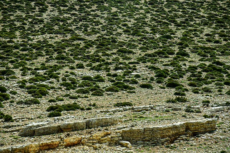 04 02 Landscape Moroc-3959