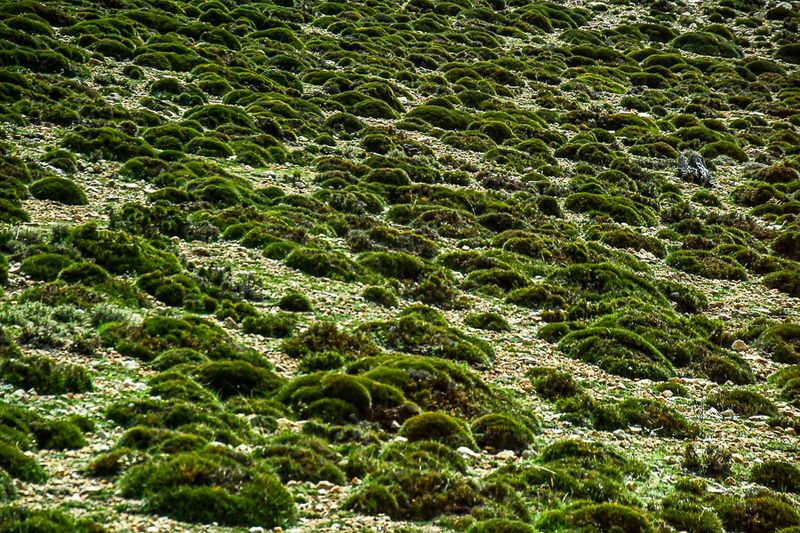 04 02 Landscape Moroc-3960