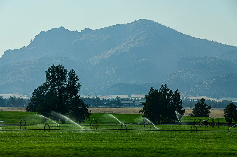 07 08 Irrigating more alfalfa 7779
