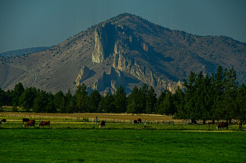 07 18 Late day lighting 7802
