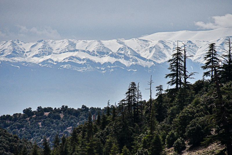 04 02 Atlas Mountains Moroc-3998