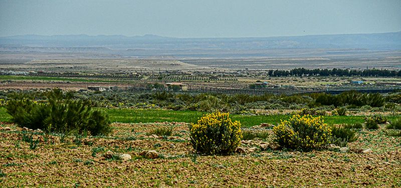 04 02 Agriculture in valley Moroc-4015