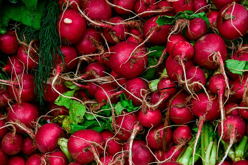 09 04 Radishes in local market India-2-2405