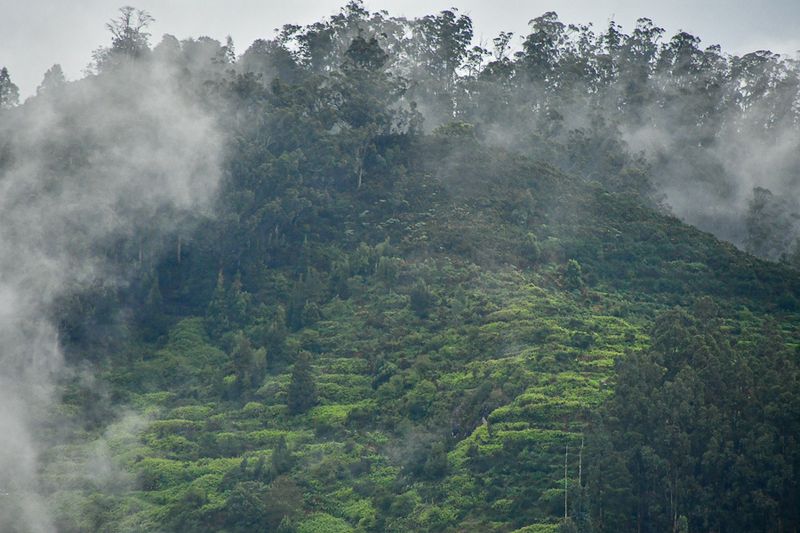 09 04 India-2-2409