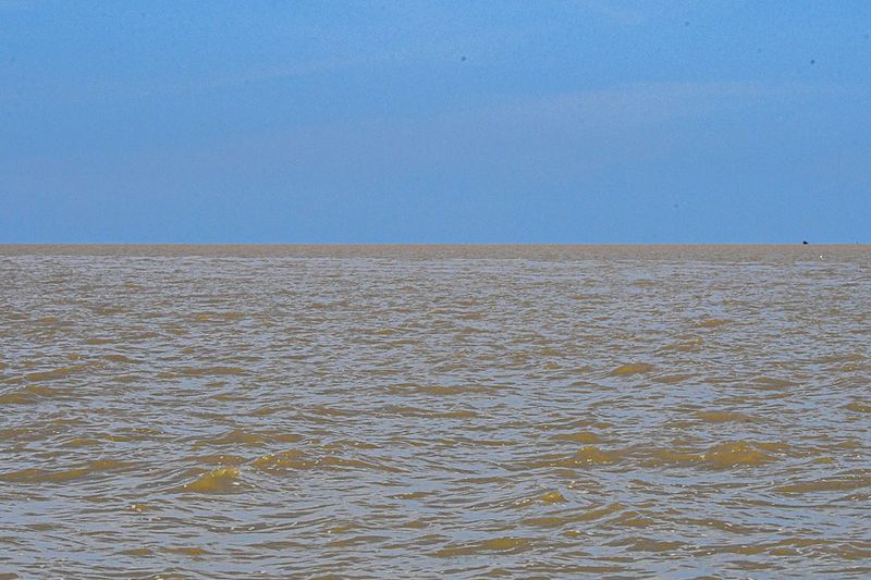 08 26 Big change in the water color; entering the Kinabatangan River outflow 4443