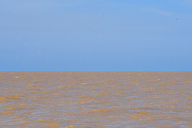 08 26 Kinabatangan River 4462