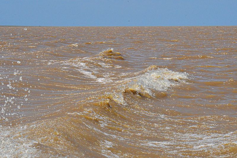 08 26C4475