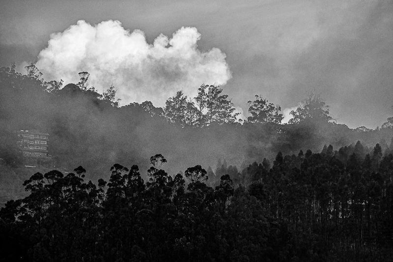 09 04 Ooty sky India-2-2438bw