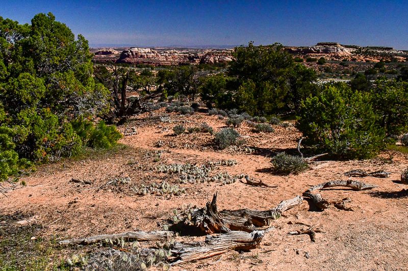 05 03 Utah19-2-1343