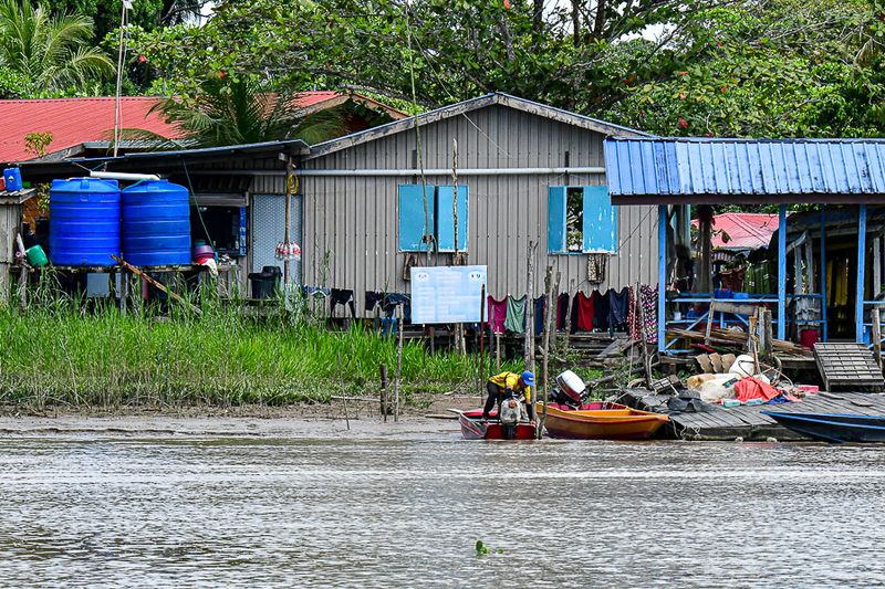 08 26 Life on the Kinabatangan River 4611