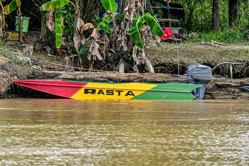 08 26 Life on the Kinabatangan River 4621