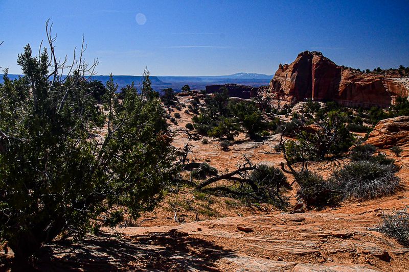 05 03 Dry landscape Utah19-2-1357