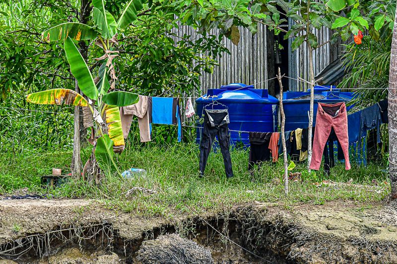 08 26 Life on the Kinabatangan River 4622