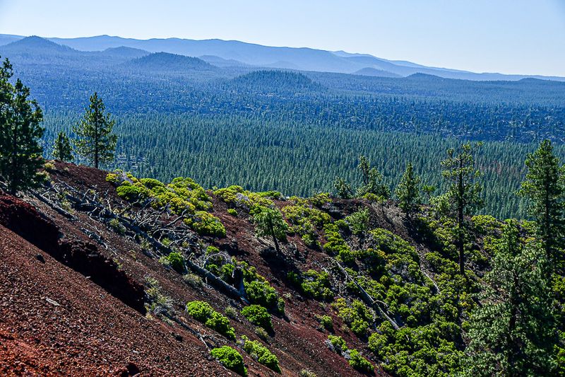 07 19 Landscape from on Lava Butte 7873