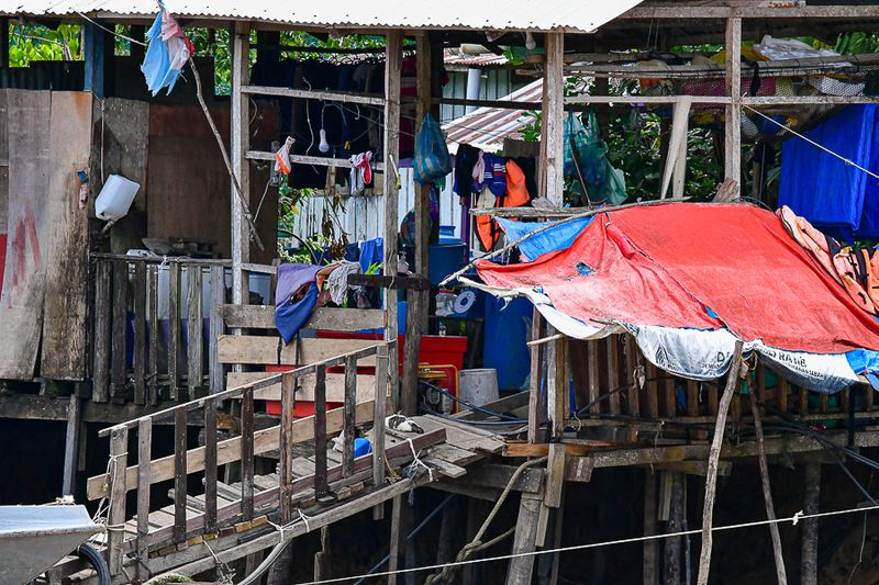 08 26 Life on the Kinabatangan River 4631
