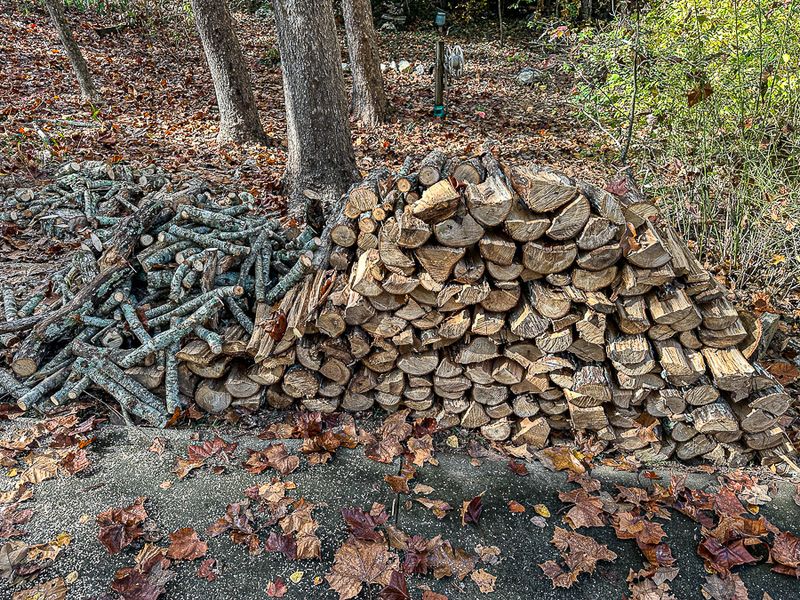 2024 11 08 Storm wood for Mike's oven i1613