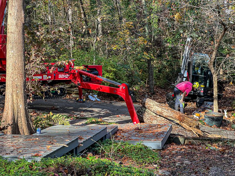 2024 11 12 Hauling away the trees i1667