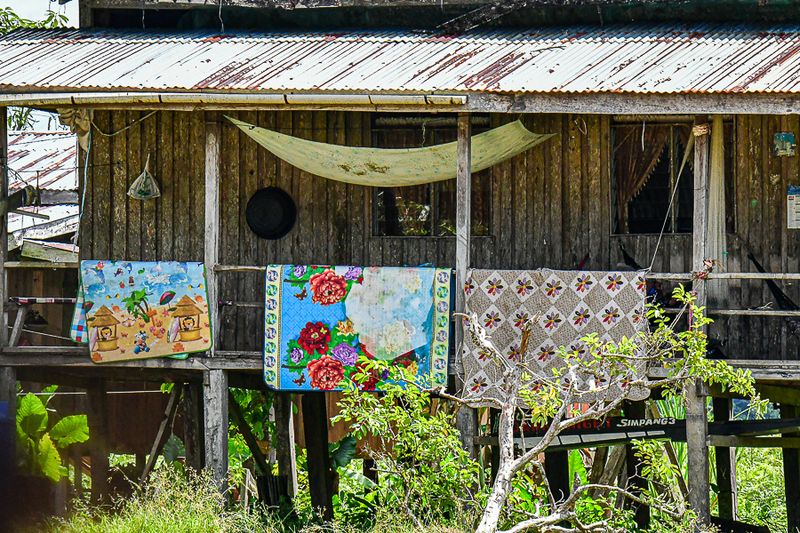 08 26 Life along the Kinabatangan River 4638