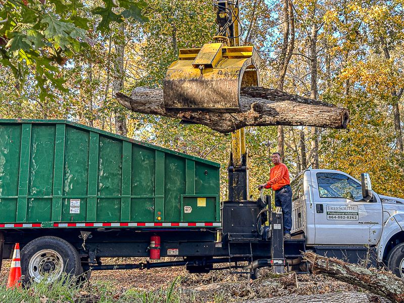 2024 11 13 Carlos loading up the trees i1780