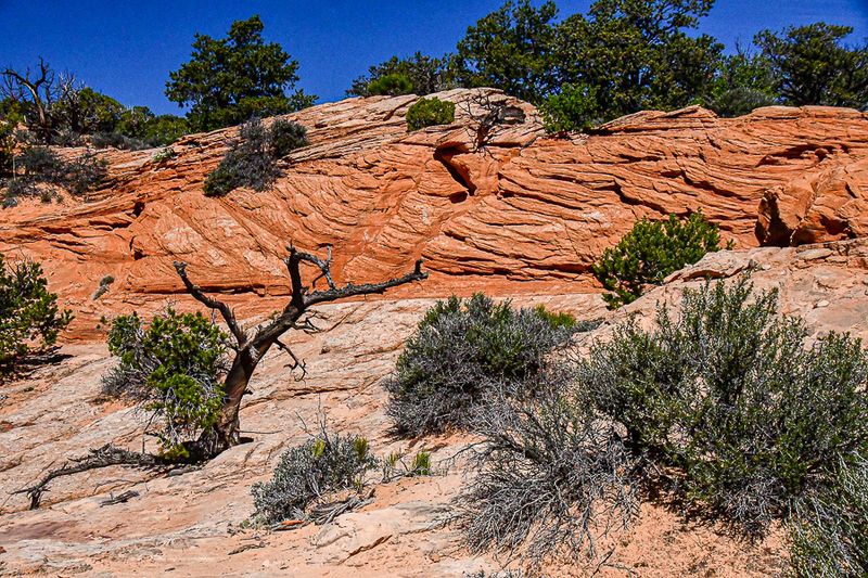 05 03 Tough place to live Utah19-2-1366
