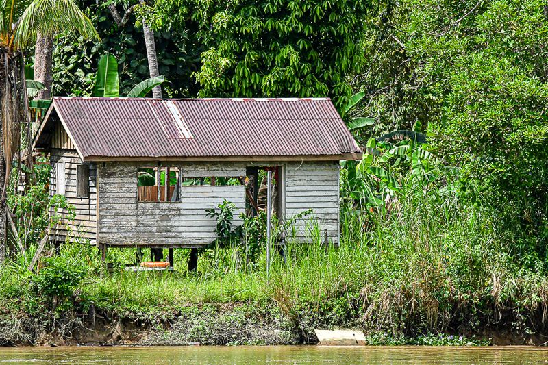 08 26 Life along the Kinabatangan River 4640