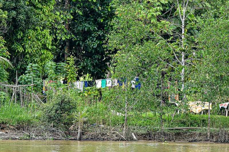 08 26 Life along the Kinabatangan River 4642