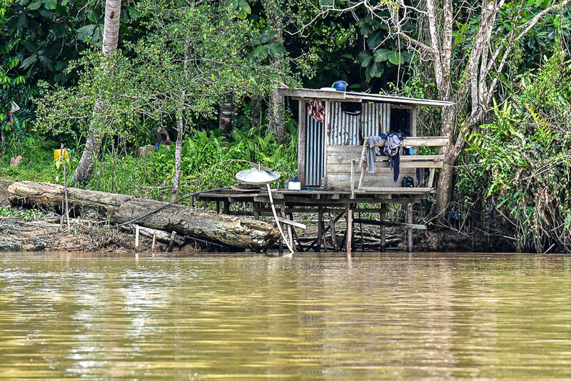 08 26 Life along the Kinabatangan River 4646