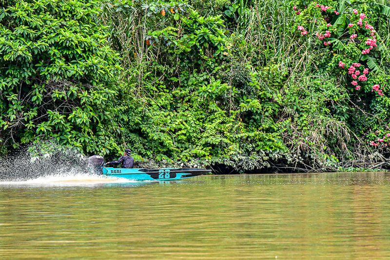 08 26 Life along the Kinabatangan River 4648