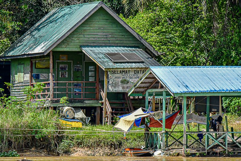 08 26 Life along the Kinabatangan River 4649