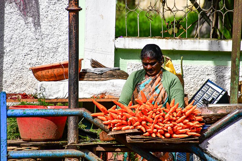 09 05 The local go-to for carrots India-2-2554